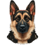 App 15